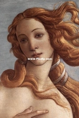 The birth of Venus - Amishop CS-117WM