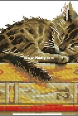 RTO M642 - Cat's Dream XSD