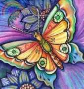 HAECCKQS 811 QS Butterfly Two