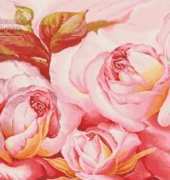 Monalisa-rose