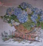Thea Gouverneur 2046 - Blue hydrangea