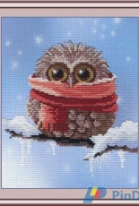 M.P. Studio PK-303 - Owl Winter XSD