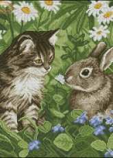 Cat and Rabbit From Nastunya 52