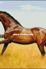 Art-goblen - Horse  by S. Nedelcheva (С.Неделчева)
