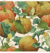 Pumpkin Patch Pillow by Donna Vermillion Giampa from Just Cross Stitch October 2000 XSD