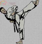Artecy Cross Stitch - Martial Arts