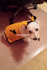 Halloween Costume - Devil Dog