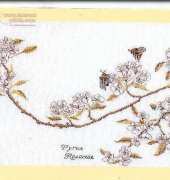 Thea Gouverneur TG 1047 - Pear Blossom
