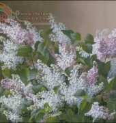 Golden Kite GK 1560 Spray of Lilacs