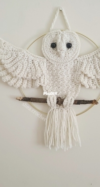 Shea Crochet - Kayla Shea Barn Owl Wall Hanging