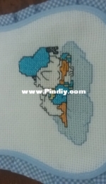 Donald duck
