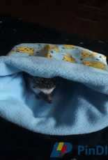 Hegdehog sleeping bag