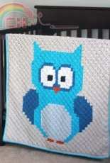 Lion Brand Yarn - Sarah Zimmerman- Baby Owl Corner to Corner C2C Blanket