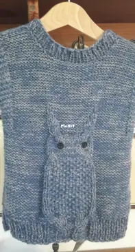 vest with an owl for a grandson for a nursery
