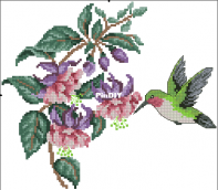DMC 587116  Hummingbird  XSD