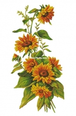 Oh! Nice Day Design Number 256 Sunflowers