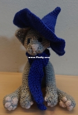 Wizard Kitten