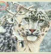 Dimensions 35244 - Snow Leopard