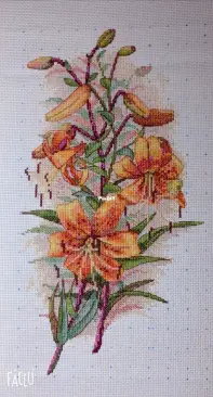 Lovely Lily, Just finished