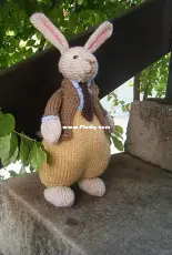 Mr Bunny