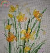 Daffodil flowers - Just Finished