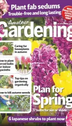 Amateur Gardening - 26 September 2020