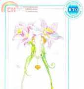 RTO M70005 Pair of sweethearts
