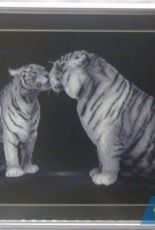 Tiger love Panna (Ж-1062 Тигриная любовь Panna)