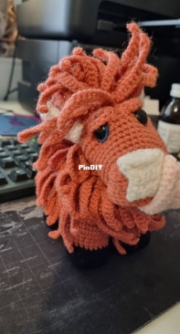 Highland cow