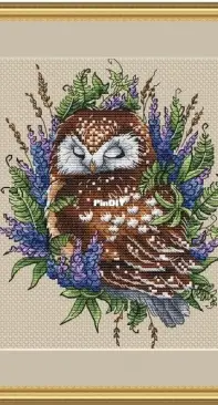 Owl Dreams by Svetlana Sichkar XSD