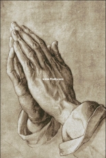Bozenka 1001 - Durer Hands