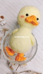 little duck