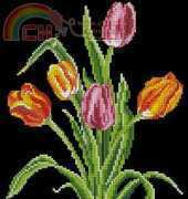 Dome 31003 Tulip