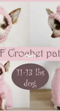Because of Crochet - EKA - Dog Sweater and Hat