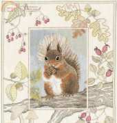 Derwentwater designes-Red Squirrel
