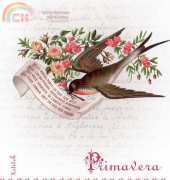 Nikyscreations-Livret Primavera-Printemps 2013