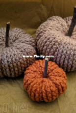 Jessica Barril - Textured Pumpkin