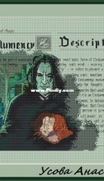 Professor Snape and Harry - Memories by Anastasia Usova