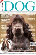 Dog Holistic Edition Issue 18 - April 2020