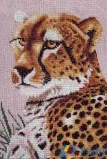 DMC K4949 Cheetah