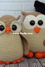 owl