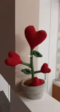 plant with hearts