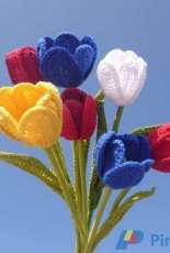 Cotton Roses - The Tulip