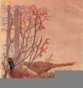 Eva Rosenstand 12-562 - Pheasants