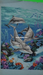 Dolphins' Domain - Dimensions Kit