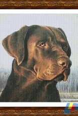 Classic Cross Stitch  CCS-AN-163 Chocolate Lab