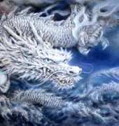 HAED - HAEKAH 104 White Dragon by Kayomi Harai (Large Format)