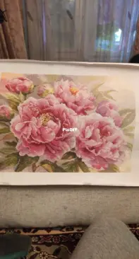 Embroidery, firm Alisa Peonies