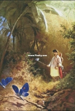 Bozenka 1001 - The Butterfly Hunter