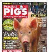 Practical Pigs Keeping-Issue 18-Spring-2015
